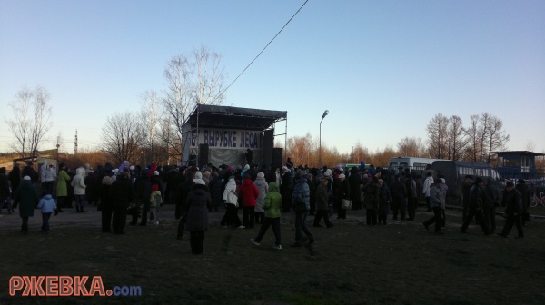 Митинг в защиту Ржевского леса